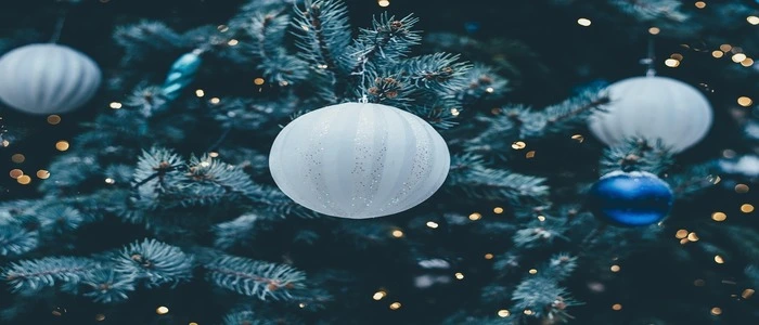 The image shows a close-up of a decorated Christmas tree. The tree branches are adorned with round ornaments — primarily white and blue baubles — surrounded by small, warm twinkling lights. The background is softly blurred, creating a cozy and festive winter atmosphere.