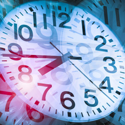 Tiny Tree 6 Hour Automated Timer